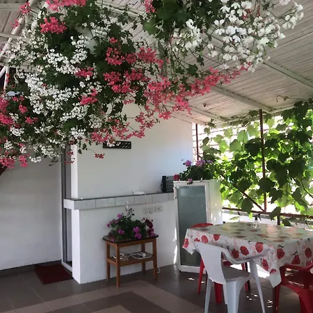 Steaua Nordului Costinești