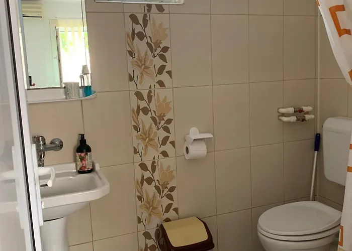 בית הארחה Steaua Nordului 3*