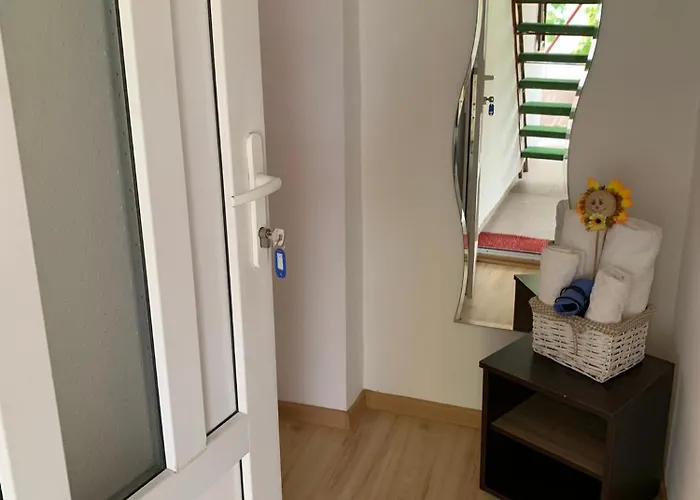 Steaua Nordului בית הארחה קוסטינסטי