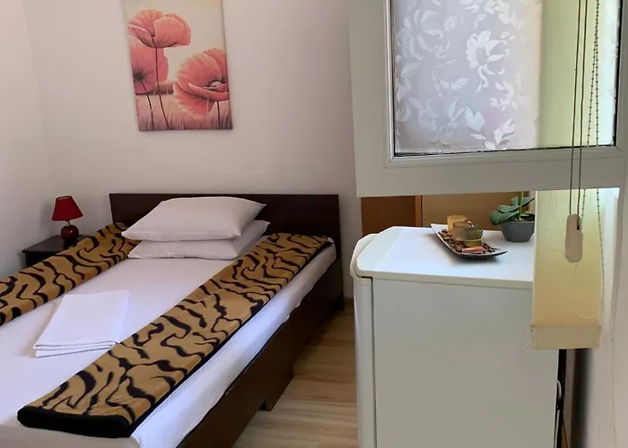 Steaua Nordului קוסטינסטי