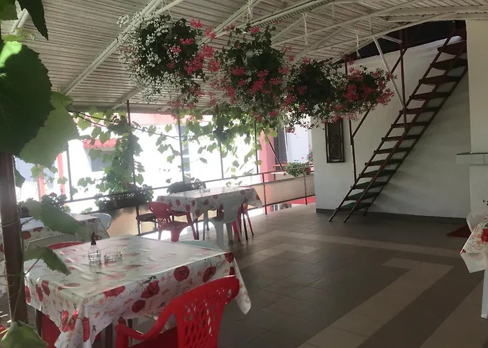 Steaua Nordului בית הארחה 3*