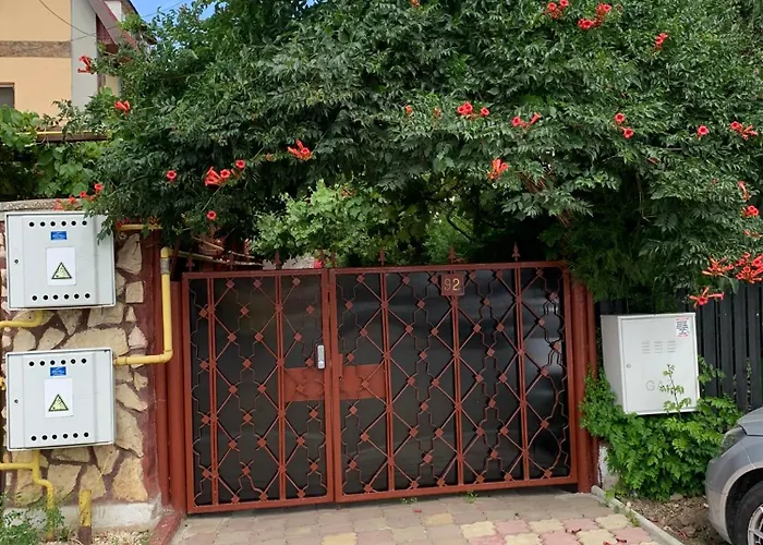 Steaua Nordului בית הארחה קוסטינסטי