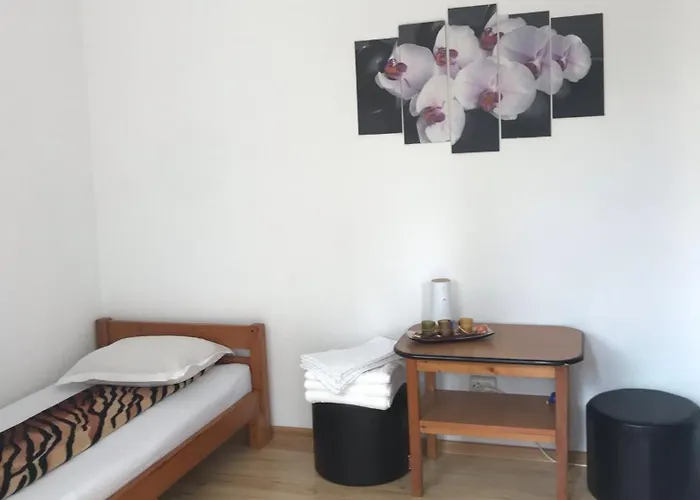 Steaua Nordului קוסטינסטי