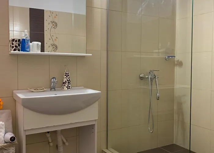 Steaua Nordului בית הארחה