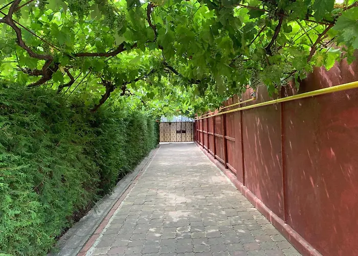 בית הארחה Steaua Nordului