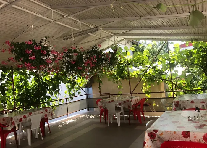 Steaua Nordului בית הארחה קוסטינסטי