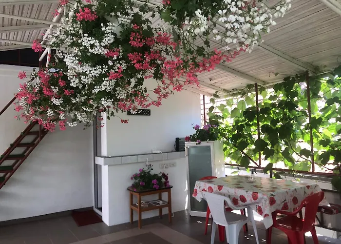 Steaua Nordului קוסטינסטי