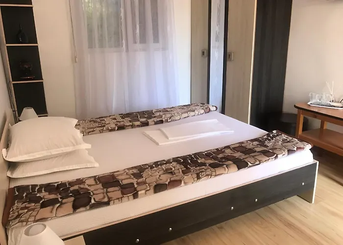 Steaua Nordului 3* קוסטינסטי