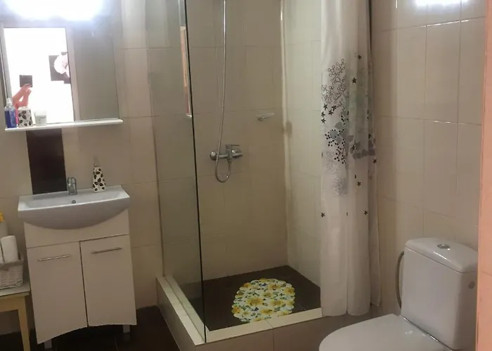 Steaua Nordului בית הארחה 3*