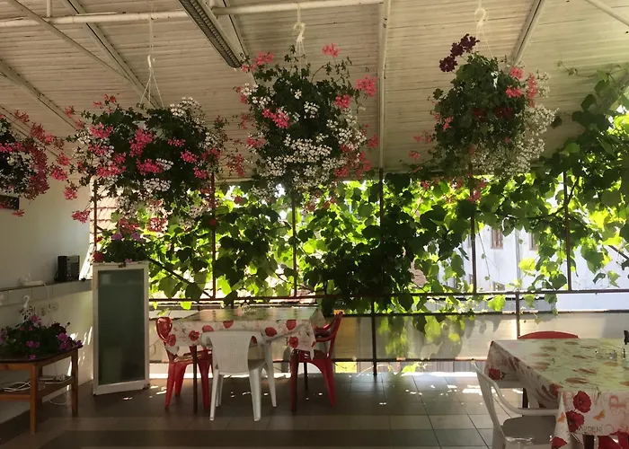 בית הארחה Steaua Nordului קוסטינסטי