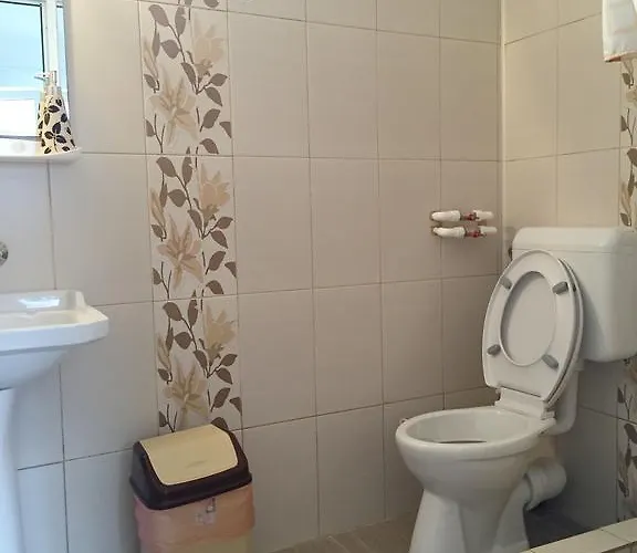 בית הארחה Steaua Nordului קוסטינסטי