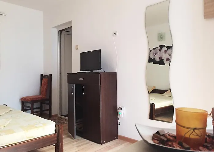 Steaua Nordului קוסטינסטי