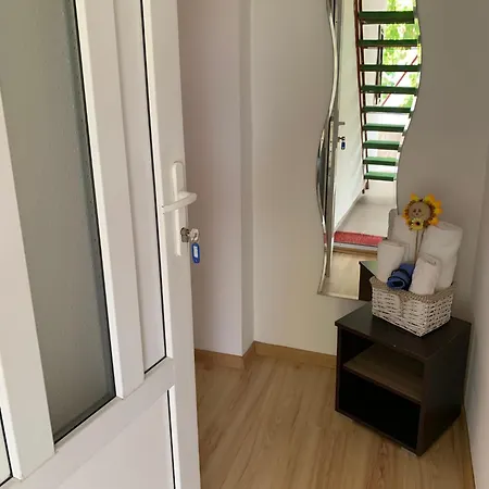 Steaua Nordului بيت ضيافة كوستِنيست