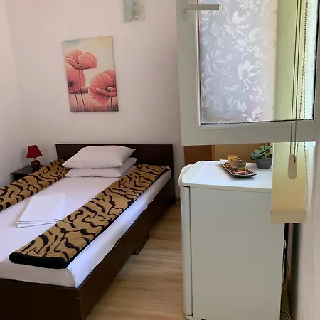 Steaua Nordului كوستِنيست