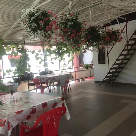 Steaua Nordului Guest house *