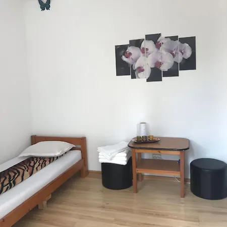 Steaua Nordului كوستِنيست