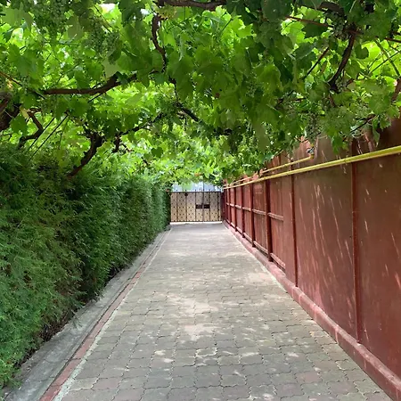 Pensjonat Steaua Nordului