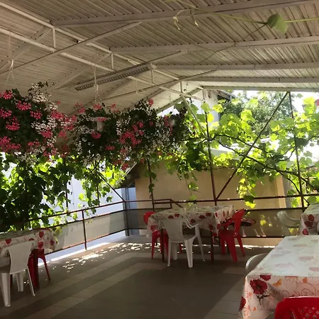 Steaua Nordului Pensjonat Costinesti