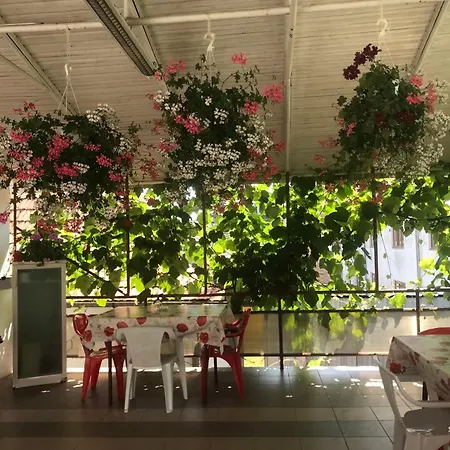 بيت ضيافة Steaua Nordului كوستِنيست