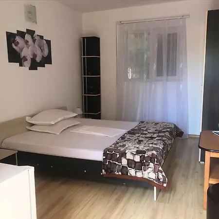 Steaua Nordului Guest house